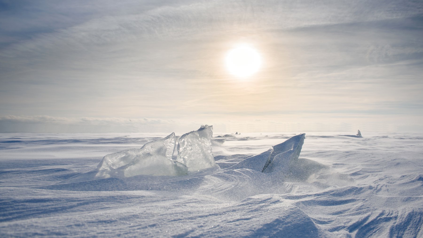 Arctic Research, Perspectives, and News | Arctic Focus