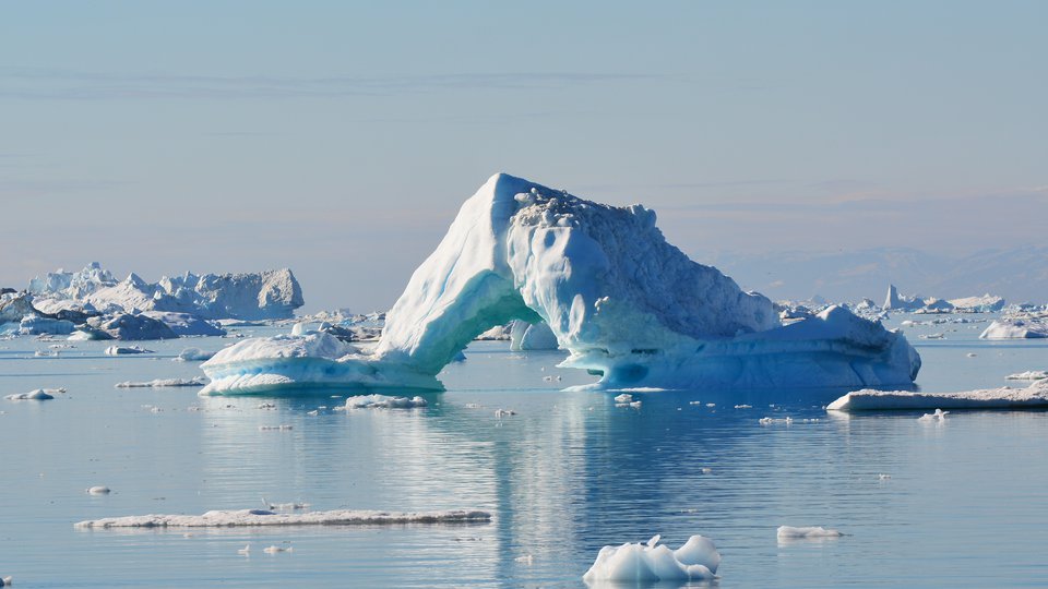 When polar bears hunt snow geese, hunger justifies the means