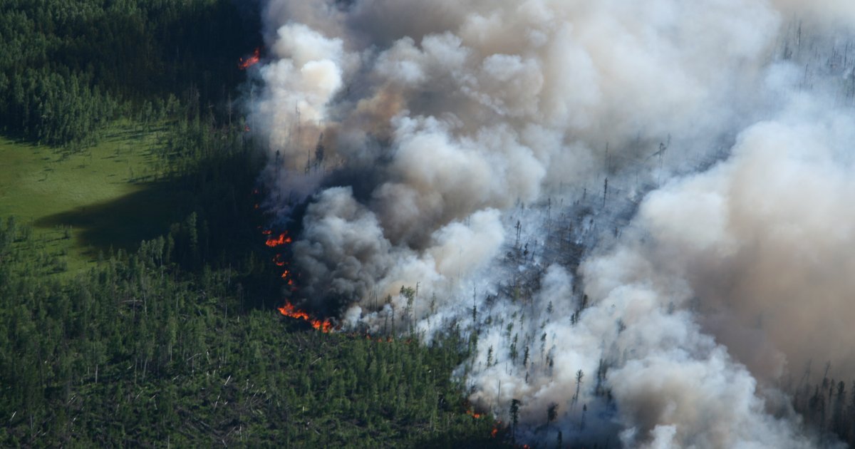 ‘Zombie Fires’ In The Arctic: Canada’s Extreme Wildfire Season Offers A ...