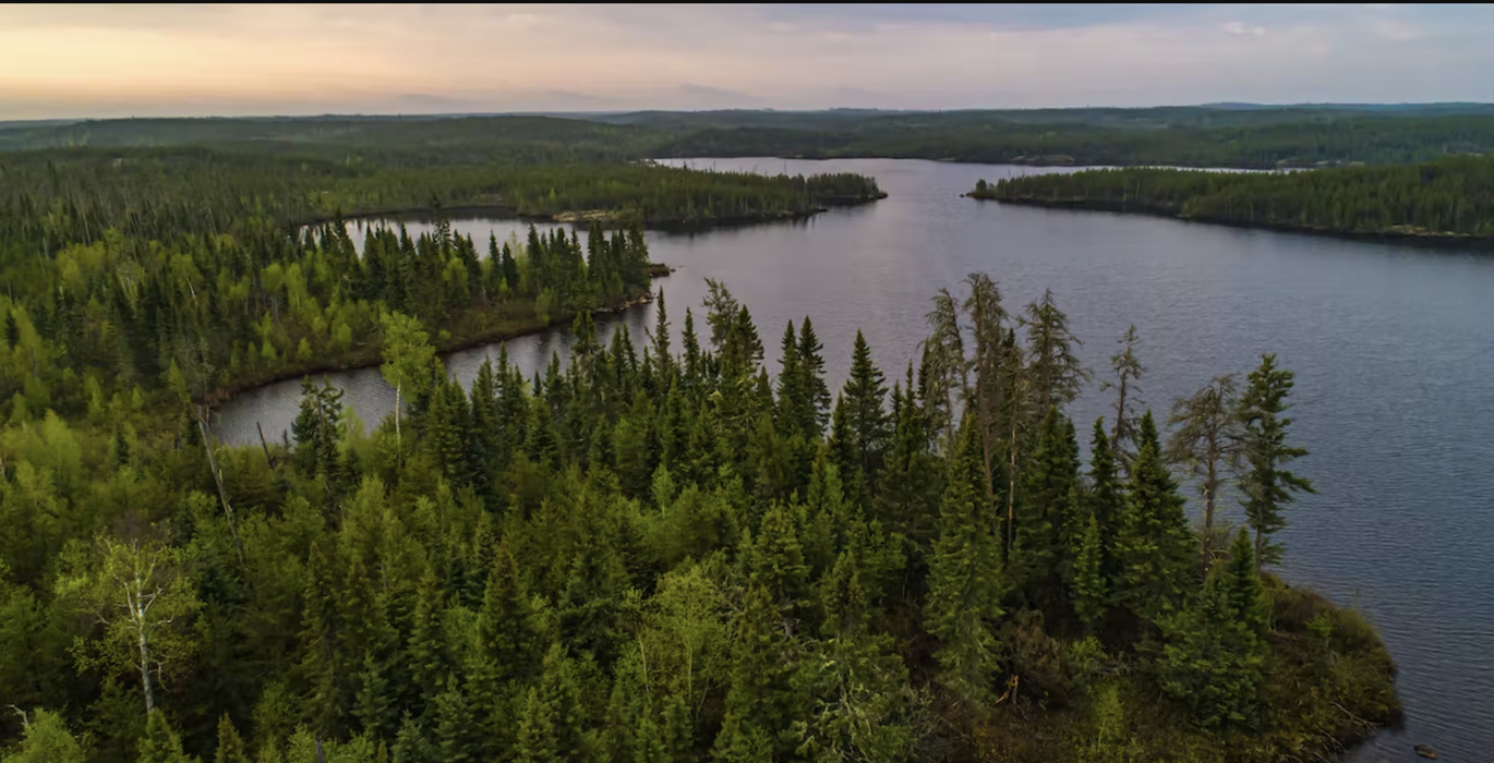 Global warming is changing Canada’s boreal forest and tundra | Arctic Focus